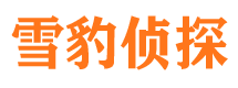 天镇市调查公司